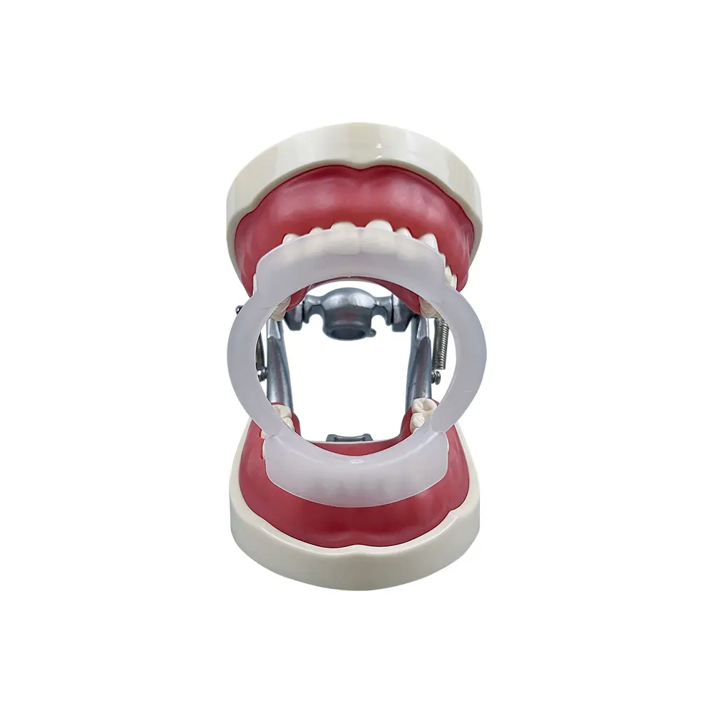 100 pièces/sac Écarteurs bucca - Teeth Whitening With Braces avis et prix