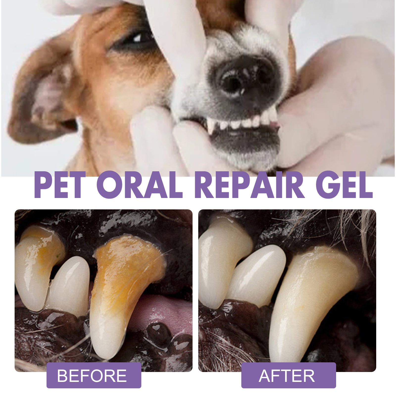 Gel de réparation orale pour a - Teeth Whitening Gum avis et prix